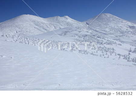 八甲田山の樹氷 5628532