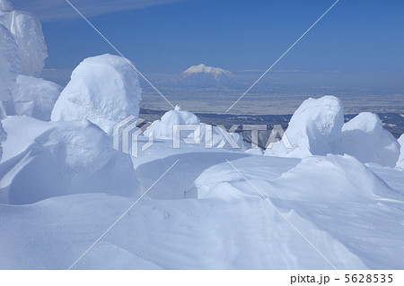八甲田山の樹氷 八甲田山の樹氷 5628535
