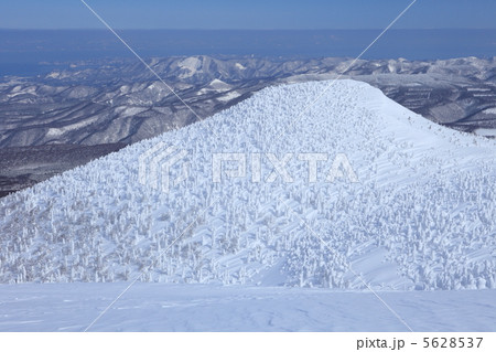 八甲田山の樹氷 八甲田山の樹氷 5628537