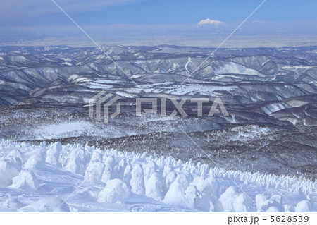 八甲田山の樹氷 八甲田山の樹氷 5628539
