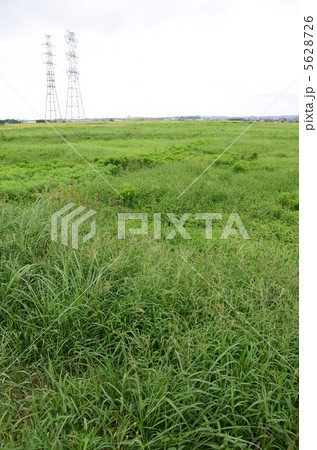 休耕田 休耕田 5628726