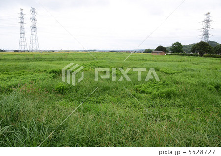 休耕田 休耕田 5628727