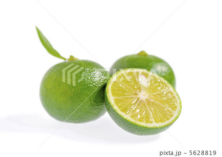 スダチ スダチ 5628819