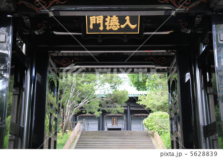 湯島聖堂 5628839