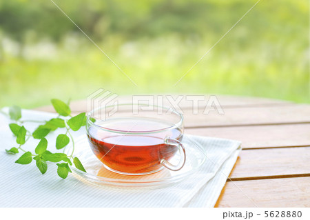 ハーブティー ハーブティー 5628880