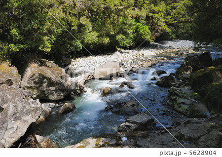 世界遺産 フィヨルドランド国立公園 世界遺産 フィヨルドランド国立公園 5628904
