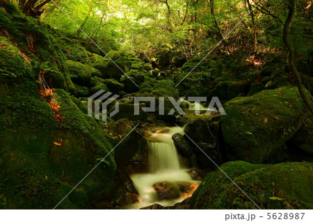 東京都の自然 東京都の自然 5628987