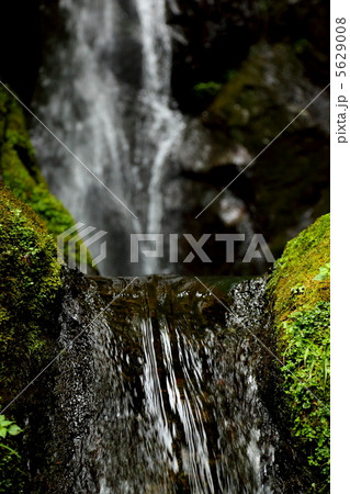 東京都の自然2 5629008