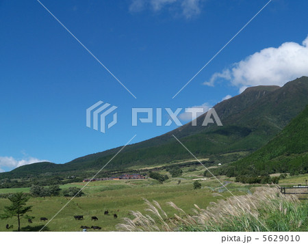 秋の久住高原 5629010