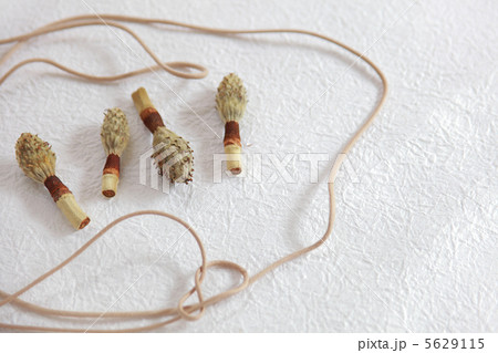 たいさんぼく 5629115