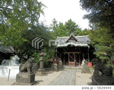 三囲神社 5629444