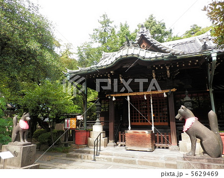 三囲神社拝殿 5629469