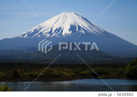 富士山と大宝山 5630002