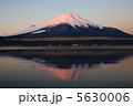 夜明けの逆さ富士（山中湖） 5630006