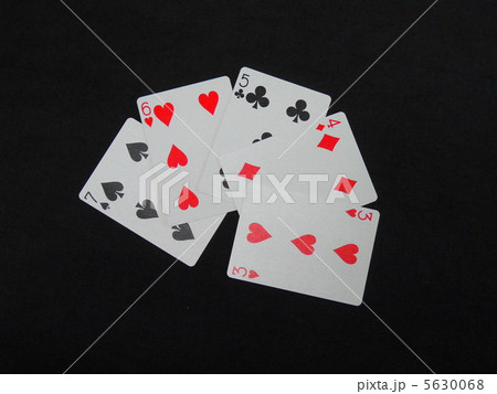 ストレート 5630068