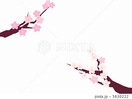 春 5630222