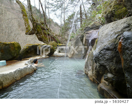 苔むす巨木と打たせ湯がある露店風呂 5630427