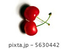 さくらんぼ 5630442
