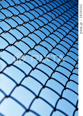 Grid Rabitz against the sky 5630502