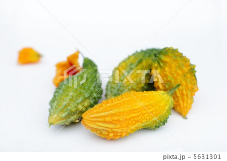 熟したゴーヤ 5631301