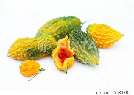 熟したゴーヤ 5631302