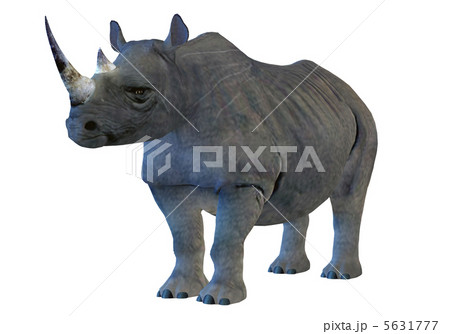 サイ 5631777
