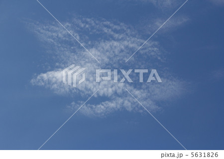 うろこ雲 5631826