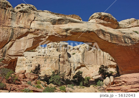 ヒックマン・ブリッジ (キャピトル・リーフ国立公園) ヒックマン・ブリッジ (キャピトル・リーフ国立公園) 5632043