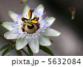 時計ぇーーん？ 5632084