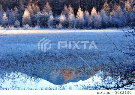 小田代ヶ原湿原の朝 5632136