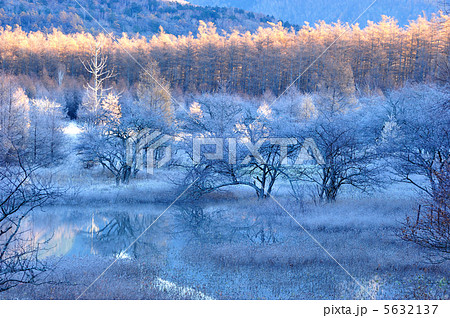 朝霜の降りる小田ヶ原湿原 5632137