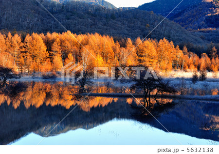 朝陽のあたる森林 5632138