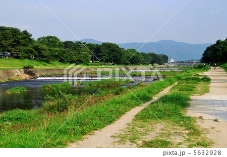 京都　北大路橋半木の道 5632928