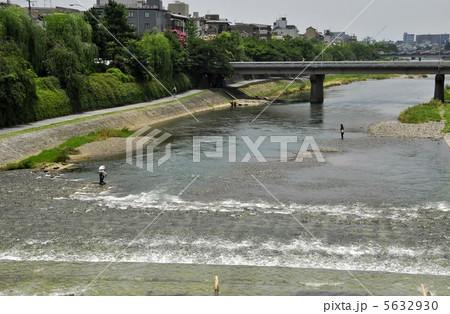 京都　四条大橋からの鴨川風景 5632930