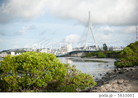 漫湖ととよみ大橋 5633001