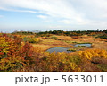紅葉 5633011