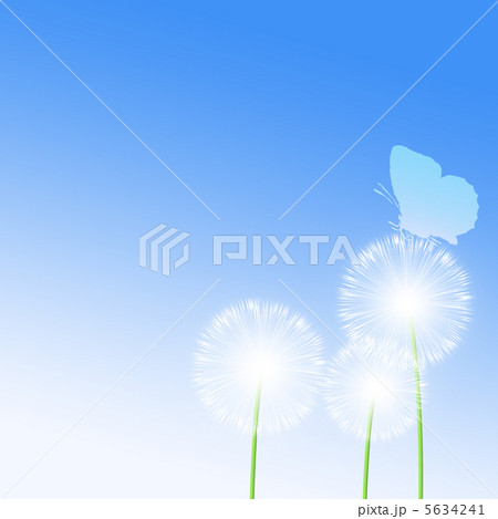 綿毛と蝶 5634241