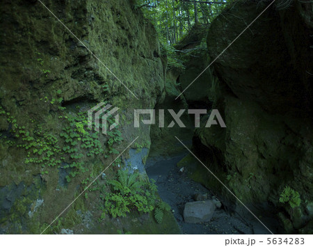 苔の洞門 5634283