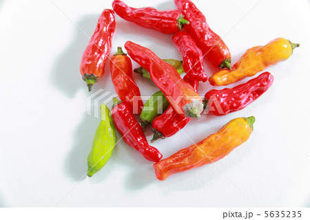 ししとう 5635235