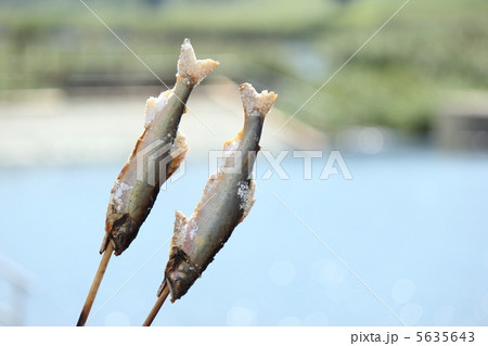 鮎の塩焼きと鮎やな 5635643