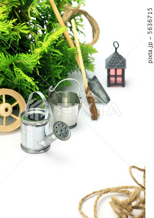 ガーデニング 5636715