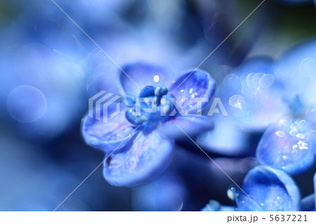 個性的な君 個性的な君 5637221