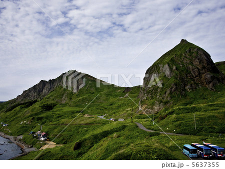 礼文島の夏 5637355