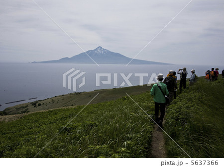 礼文島の夏 5637366