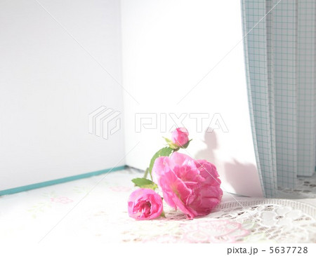 小さな薔薇 小さな薔薇 5637728