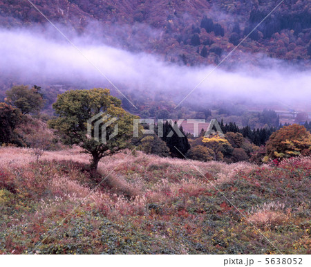 樽口峠の朝もや 樽口峠の朝もや 5638052
