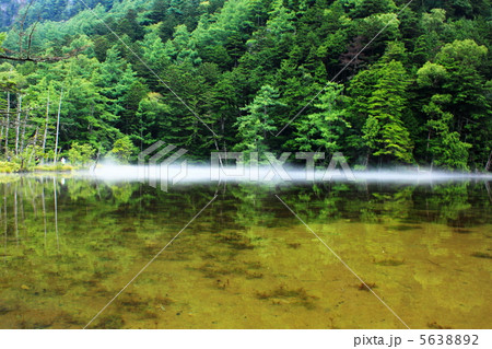 霧の明神池 5638892