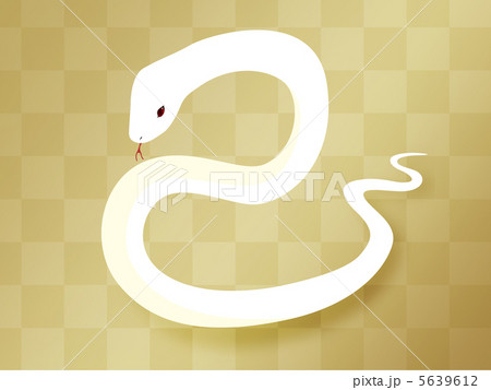 年賀状素材 5639612