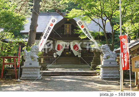 春日山神社、謙信公祭 春日山神社、謙信公祭 5639630