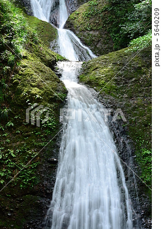 初夏の清流 5640209